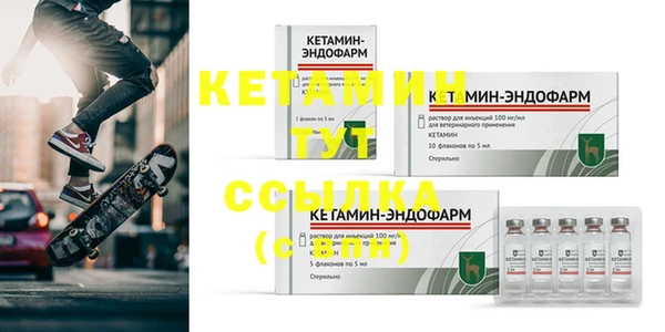 гашик Новозыбков