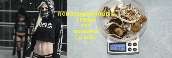индика Нефтегорск