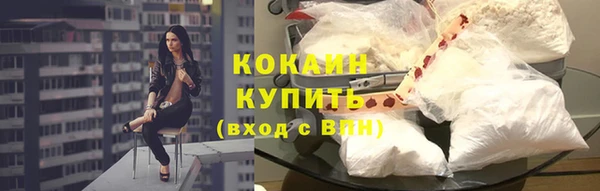 индика Нефтегорск