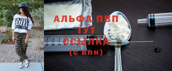 индика Нефтегорск